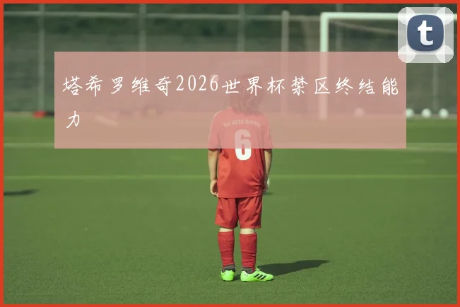塔希罗维奇2026世界杯禁区终结能力