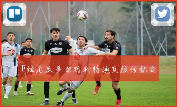 E组厄瓜多尔对科特迪瓦短传配合