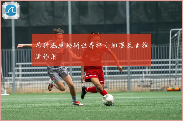 尼科威廉姆斯世界杯小组赛反击推进作用