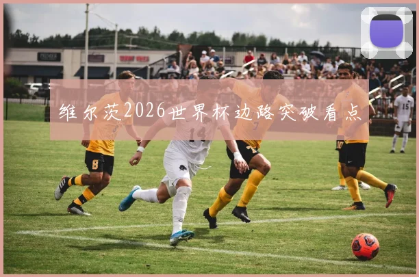 维尔茨2026世界杯边路突破看点