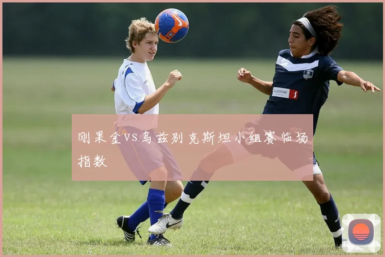 刚果金vs乌兹别克斯坦小组赛临场指数