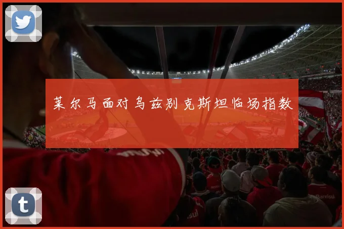 莱尔马面对乌兹别克斯坦临场指数