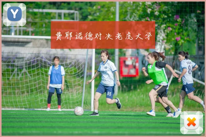 费耶诺德对决老虎大学