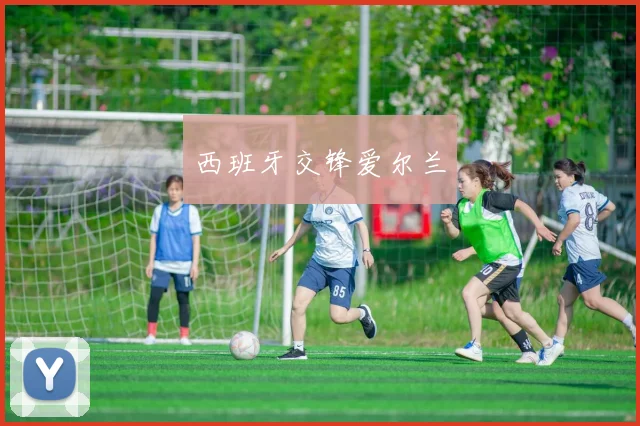 西班牙交锋爱尔兰