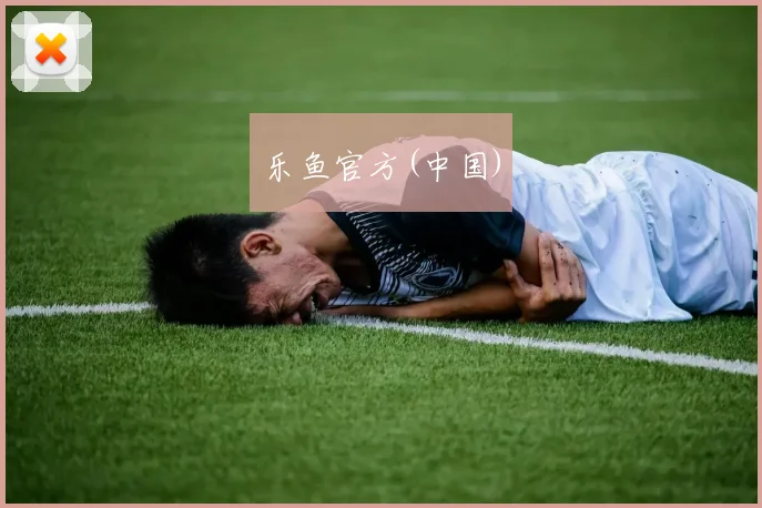 乐鱼官方(中国)