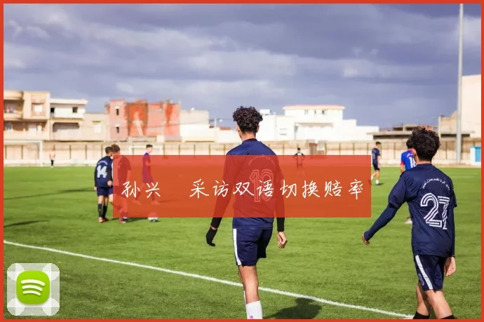 孙兴慜采访双语切换赔率