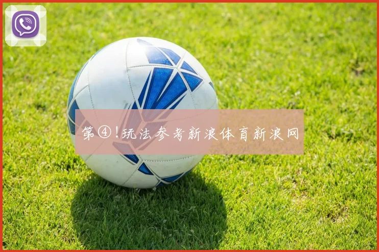 第④!玩法参考新浪体育新浪网
