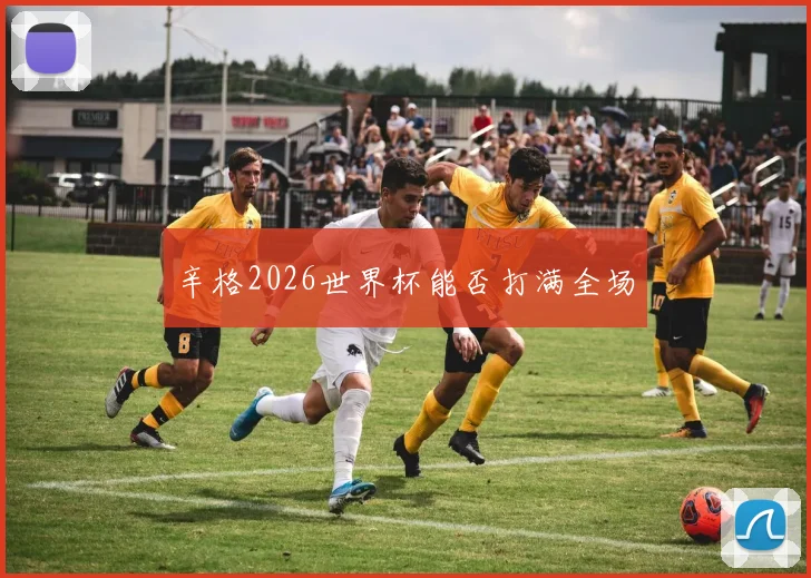 辛格2026世界杯能否打满全场