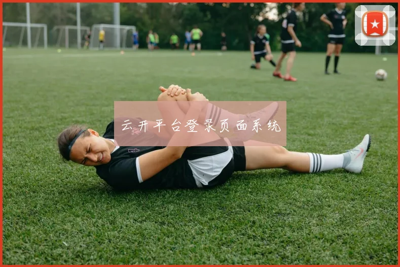 云开平台登录页面系统