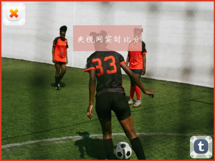 央视网实时比分