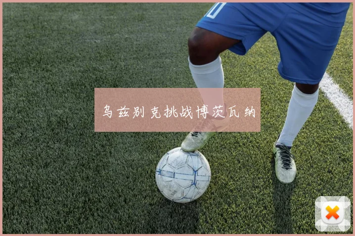 乌兹别克挑战博茨瓦纳