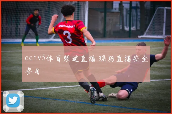 cctv5体育频道直播 现场直播安全参考