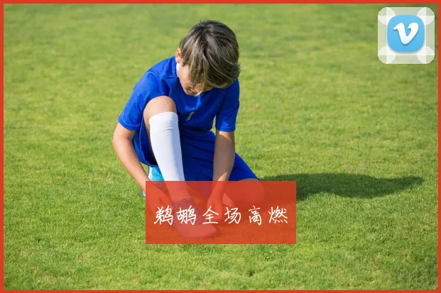 鹈鹕全场高燃