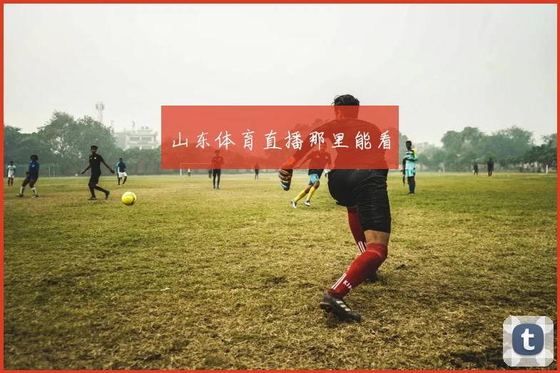 山东体育直播那里能看