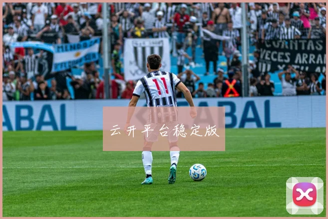 云开平台稳定版