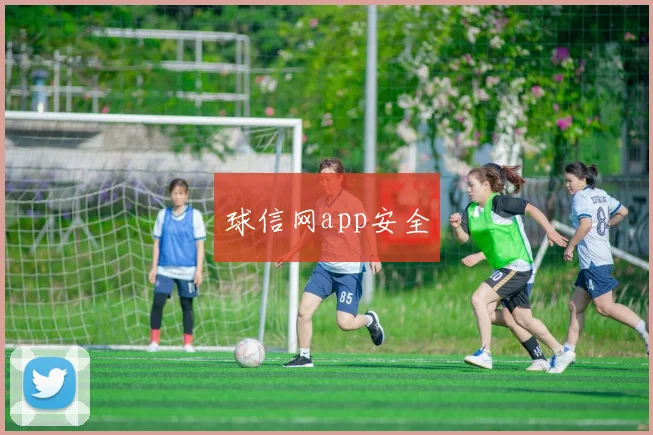 球信网app安全