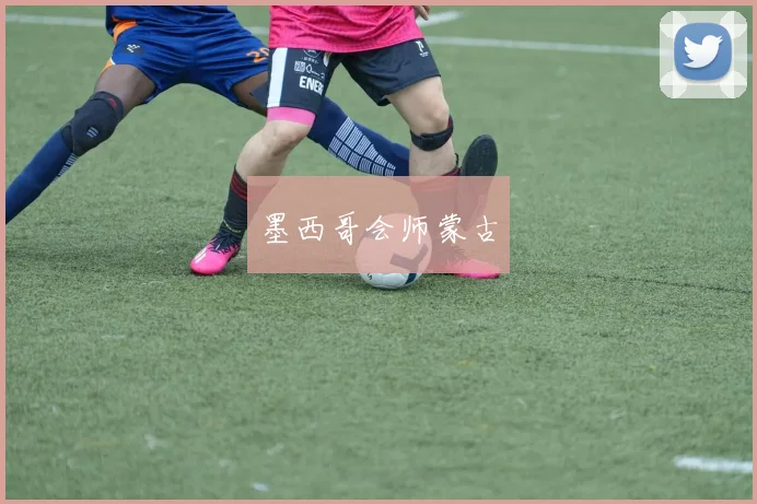 墨西哥会师蒙古