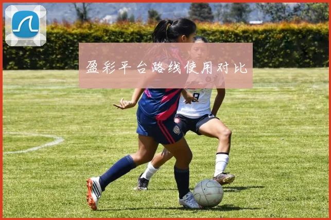 盈彩平台路线使用对比