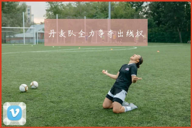 丹麦队全力争夺出线权