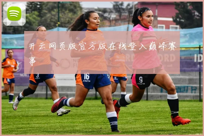 开云网页版官方版在线登入巅峰赛事