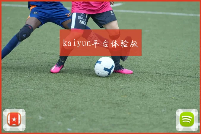 kaiyun平台体验版