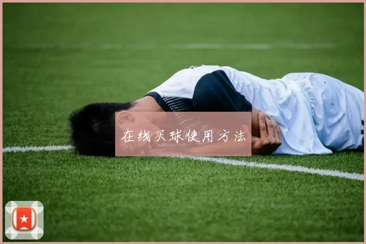 在线买球使用方法
