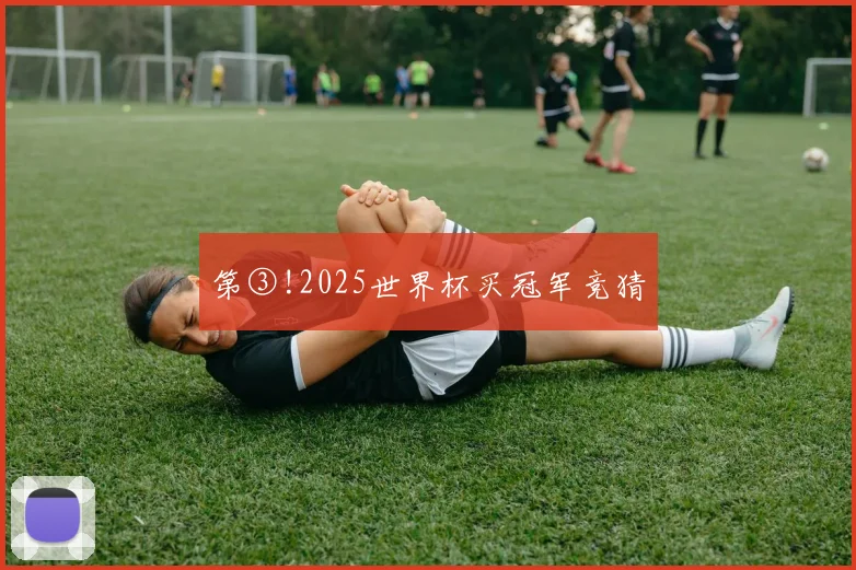 第③!2025世界杯买冠军竞猜