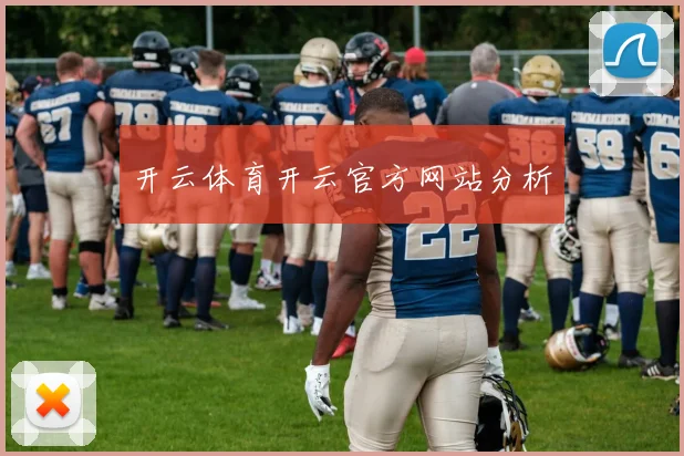 开云体育开云官方网站分析