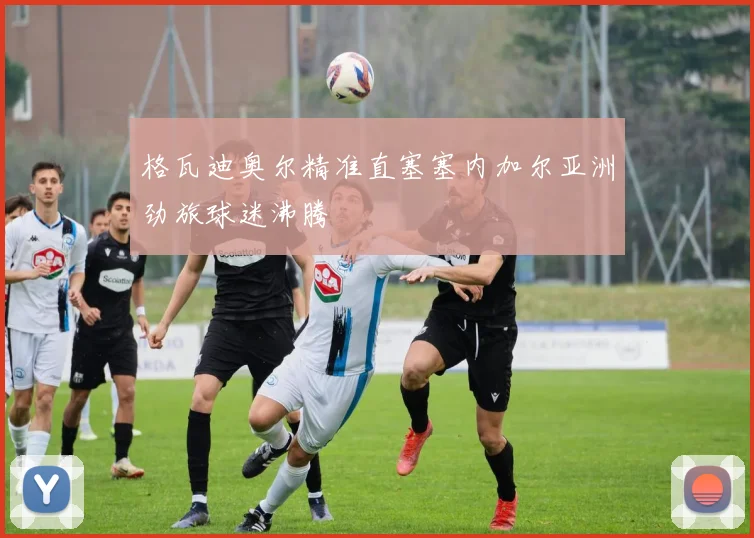 格瓦迪奥尔精准直塞塞内加尔亚洲劲旅球迷沸腾