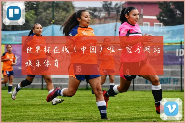 世界杯在线（中国）唯一官方网站娱乐体育