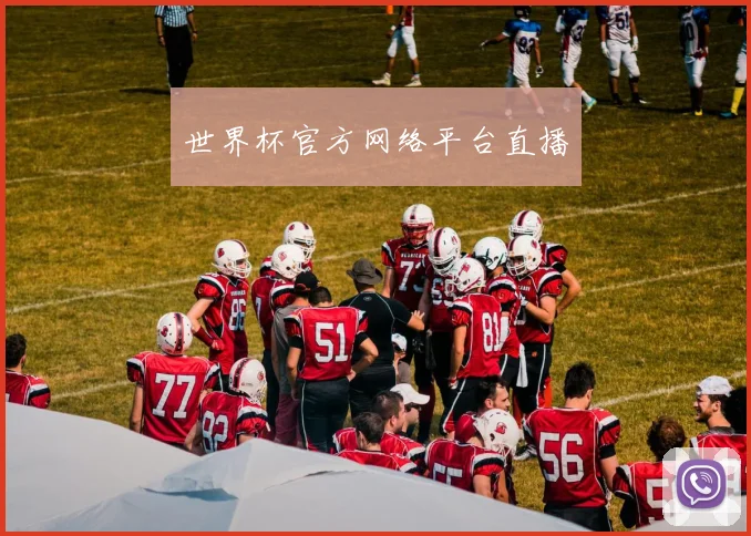 世界杯官方网络平台直播