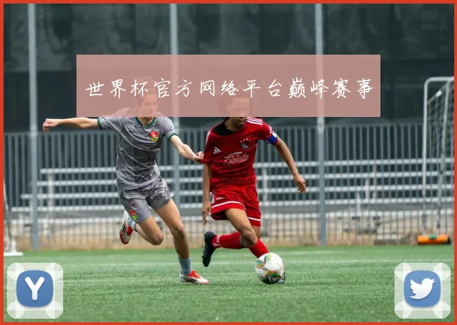 世界杯官方网络平台巅峰赛事