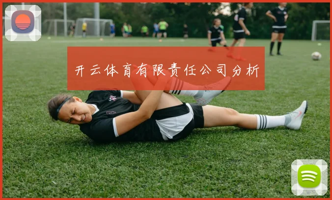 开云体育有限责任公司分析