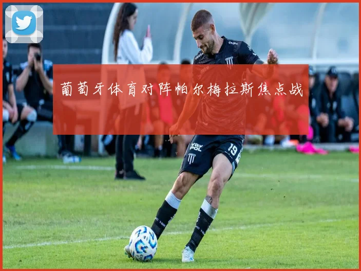葡萄牙体育对阵帕尔梅拉斯焦点战