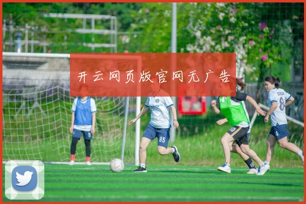 开云网页版官网无广告