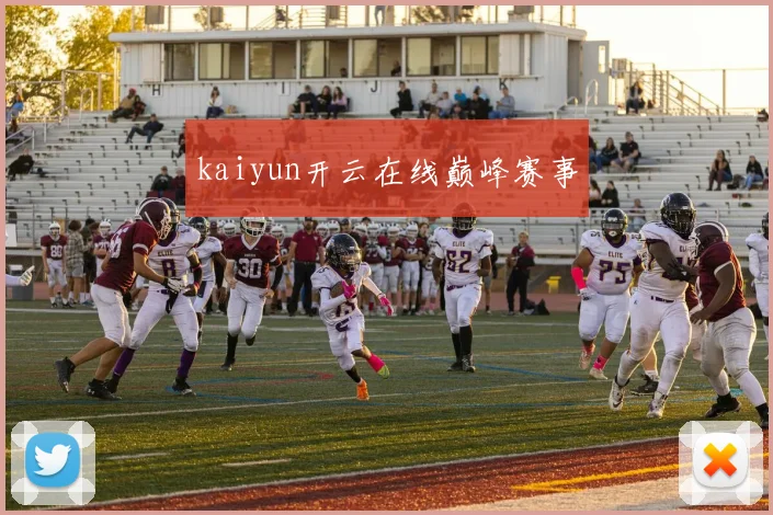 kaiyun开云在线巅峰赛事
