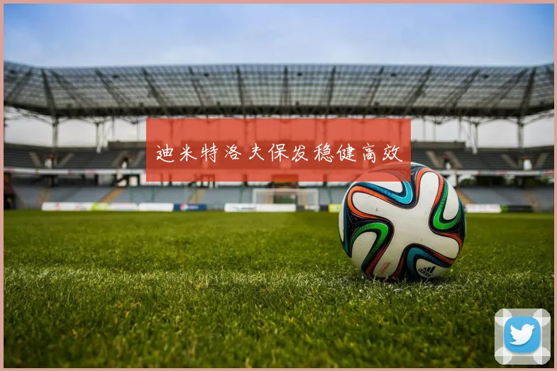 迪米特洛夫保发稳健高效