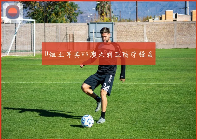 D组土耳其vs澳大利亚防守强度