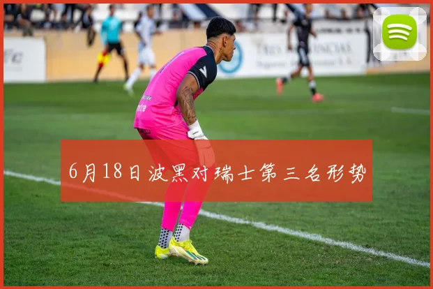 6月18日波黑对瑞士第三名形势