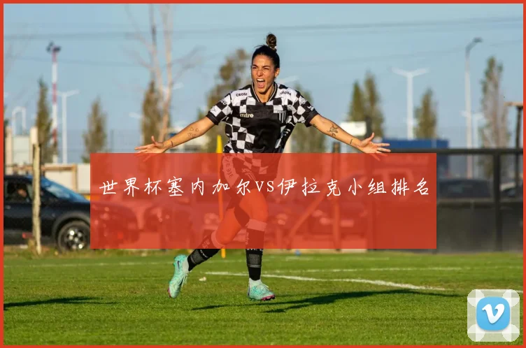 世界杯塞内加尔vs伊拉克小组排名